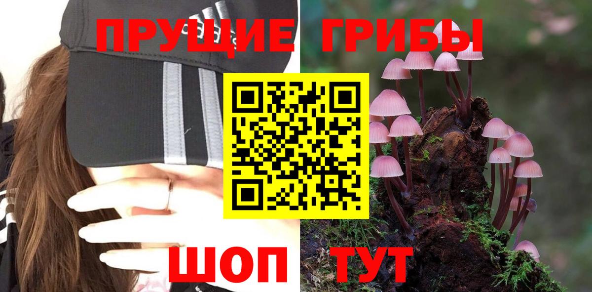 Псилоцибиновые грибы Magic Shrooms Приморско-Ахтарск